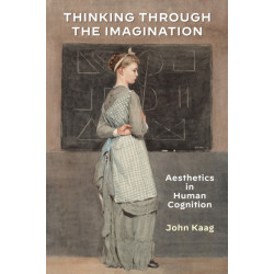 Thinking Through the Imagination: Aesthetics in Human Cognition