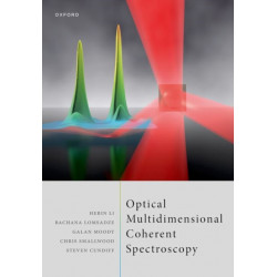 Optical Multidimensional Coherent Spectroscopy