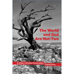 The World and God Are not-Two: A Hindu–Christian Conversation