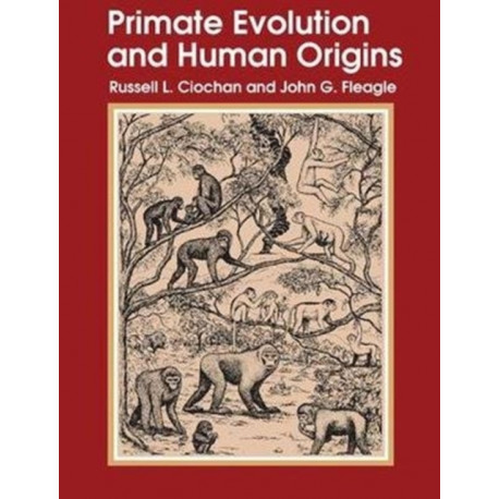 Primate Evolution and Human Origins