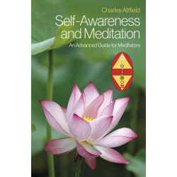 Self-Awareness and Meditation: An Advanced Guide for Meditators