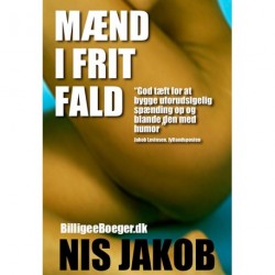 Mænd i frit fald: roman