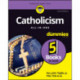 Catholicism All-in-One For Dummies