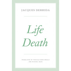 Life Death