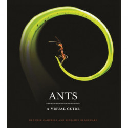 Ants: A Visual Guide
