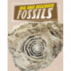 Dig and Discover Fossils