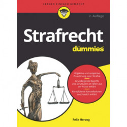 Strafrecht Allgemeiner Teil fur Dummies