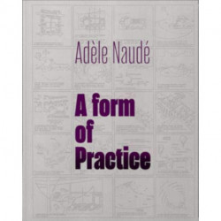 Adele Naude: A Form of Practice