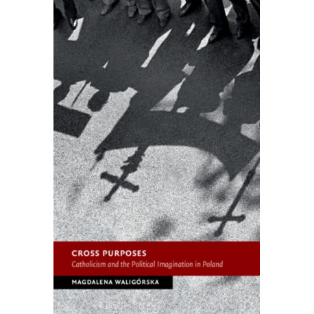 Cross Purposes: Catholicism and the Political Imagination in Poland