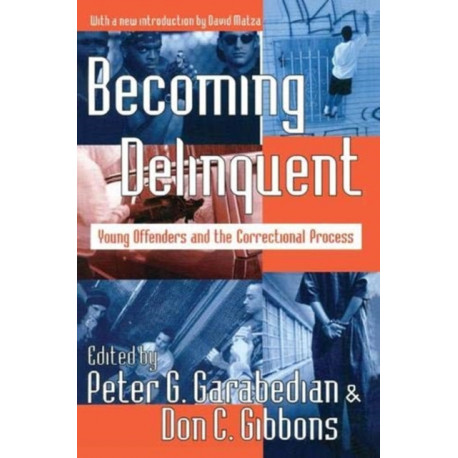Becoming Delinquent: Young Offenders and the Correctional Process