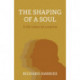 Shaping of a Soul, The: A life taken by surprise