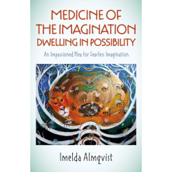 Medicine of the Imagination: Dwelling in Possibility: An Impassioned Plea for Fearless Imagination