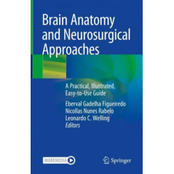 Brain Anatomy and Neurosurgical Approaches: A Practical, Illustrated, Easy-to-Use Guide