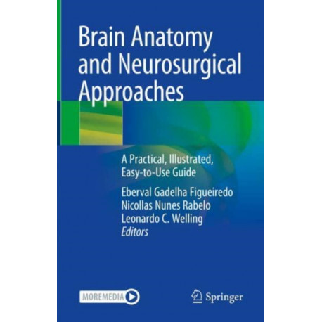 Brain Anatomy and Neurosurgical Approaches: A Practical, Illustrated, Easy-to-Use Guide
