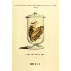 Something in the Water: Fictions