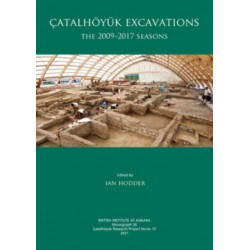 Catalhoyuk Excavations: The 2009-2017 Seasons