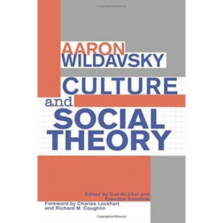 Culture and Social Theory