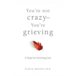 You're Not Crazy-You're Grieving:: 6 Steps for Surviving Loss