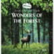 Wonders of the Forest. Secrets of the Wild Woods