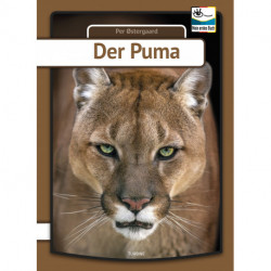 Der Puma