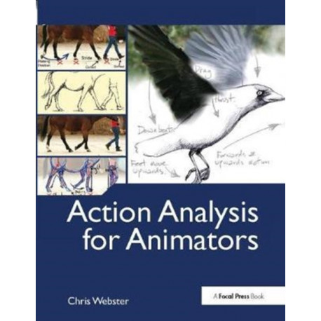 Action Analysis for Animators