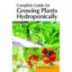 Complete Guide for Growing Plants Hydroponically