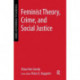 Feminist Theory, Crime, and Social Justice