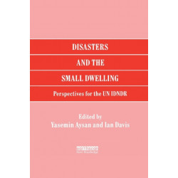 Disasters and the Small Dwelling: Perspectives for the UN IDNDR