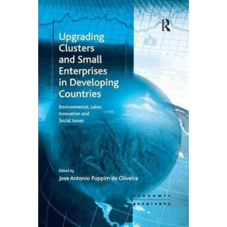 Upgrading Clusters and Small Enterprises in Developing Countries: Environmental, Labor, Innovation and Social Issues