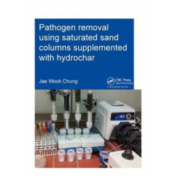 Pathogen removal using saturated sand columns supplemented with hydrochar