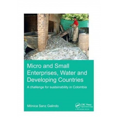 Micro and Small Enterprises, Water and Developing Countries: A Challenge for Sustainability in Colombia