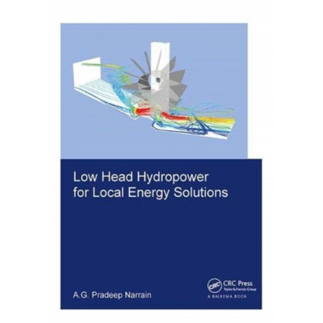 Low Head Hydropower for Local Energy Solutions