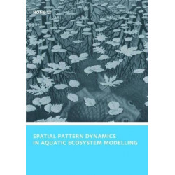 Spatial Pattern Dynamics in Aquatic Ecosystem Modelling: UNESCO-IHE PhD Thesis