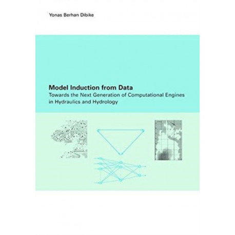 Model Induction from Data: Towards the next generation of computational engines in hydraulics and hydrology
