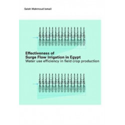 Effectiveness of Surge Flow Irrigation in Egypt: Water Use Efficiency in Field Crop Production