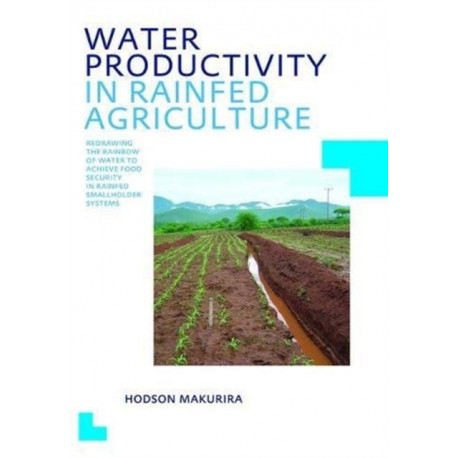 Water Productivity in Rainfed Agriculture: UNESCO-IHE PhD Thesis