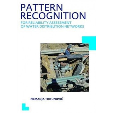 Pattern Recognition for Reliability Assessment of Water Distribution Networks: UNESCO-IHE PhD Thesis