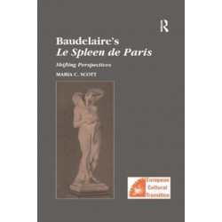Baudelaire's Le Spleen de Paris: Shifting Perspectives