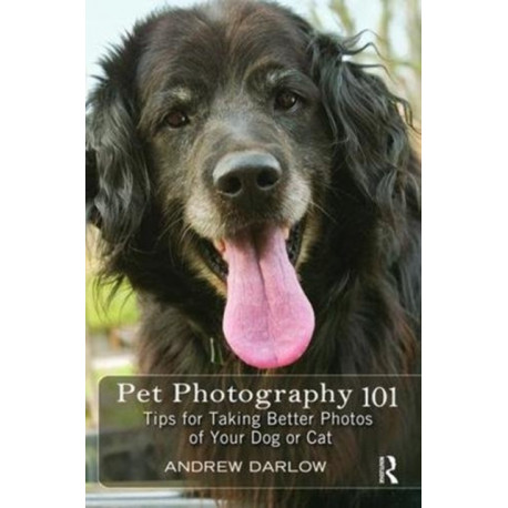 Pet Photography 101: Tips for taking better photos of your dog or cat