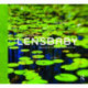 Lensbaby: Bending your perspective