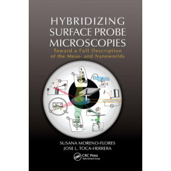 Hybridizing Surface Probe Microscopies: Toward a Full Description of the Meso- and Nanoworlds