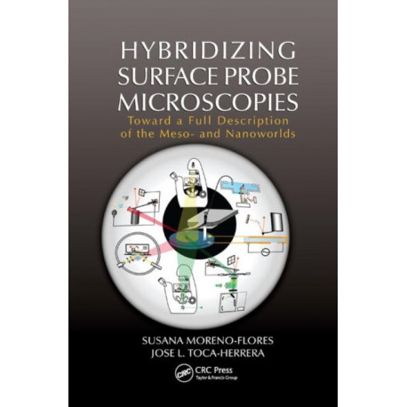Hybridizing Surface Probe Microscopies: Toward a Full Description of the Meso- and Nanoworlds