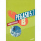 Pegasus 3. Arbejdsbog B