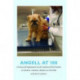 Angell at 100: A Century of Compassionate Care for Animals and Their Families at Angell Animal Medical Center