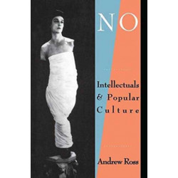 No Respect: Intellectuals and Popular Culture