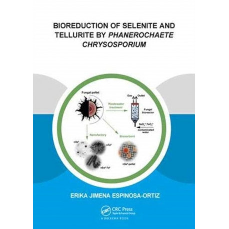 Bioreduction of Selenite and Tellurite by Phanerochaete Chrysosporium