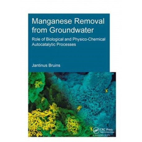 Manganese Removal from Groundwater: Role of Biological and Physico-Chemical Autocatalytic Processes