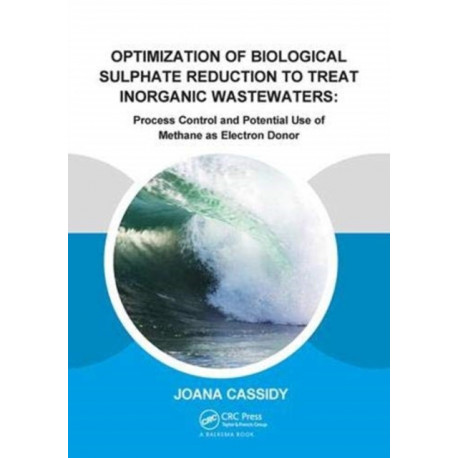 Optimization of Biological Sulphate Reduction to Treat Inorganic Wastewaters: Process Control and Potential Use of Methane as Electron Donor