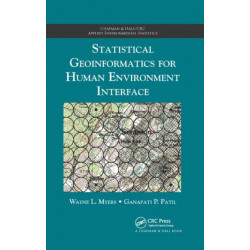 Statistical Geoinformatics for Human Environment Interface