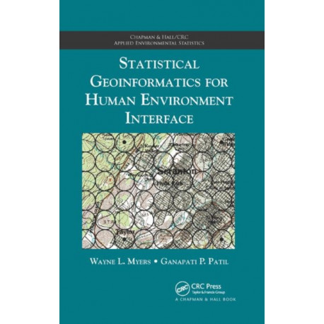 Statistical Geoinformatics for Human Environment Interface